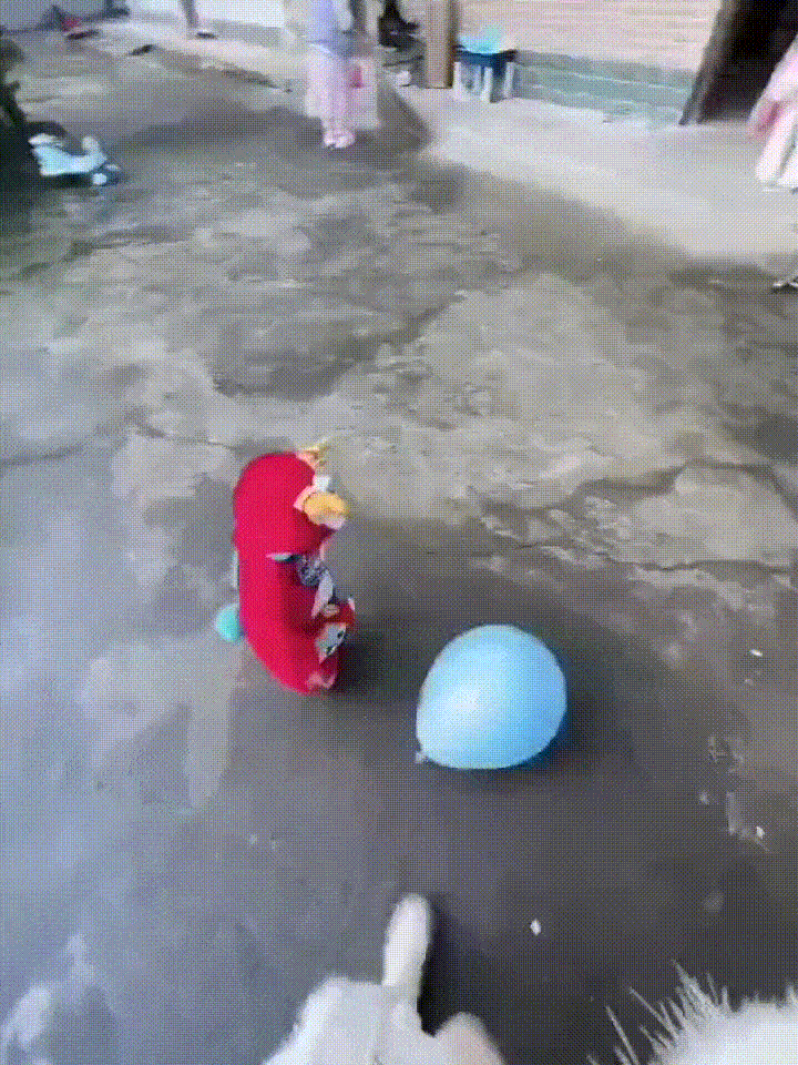 周五福利囧图云飞系列 小姑娘不善言辞但懂得拳脚
