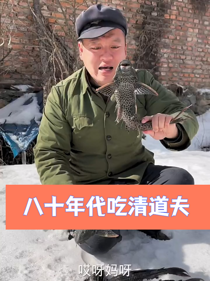 老高给木匠点好鱼也行给两条清道夫竟是骨头没肉