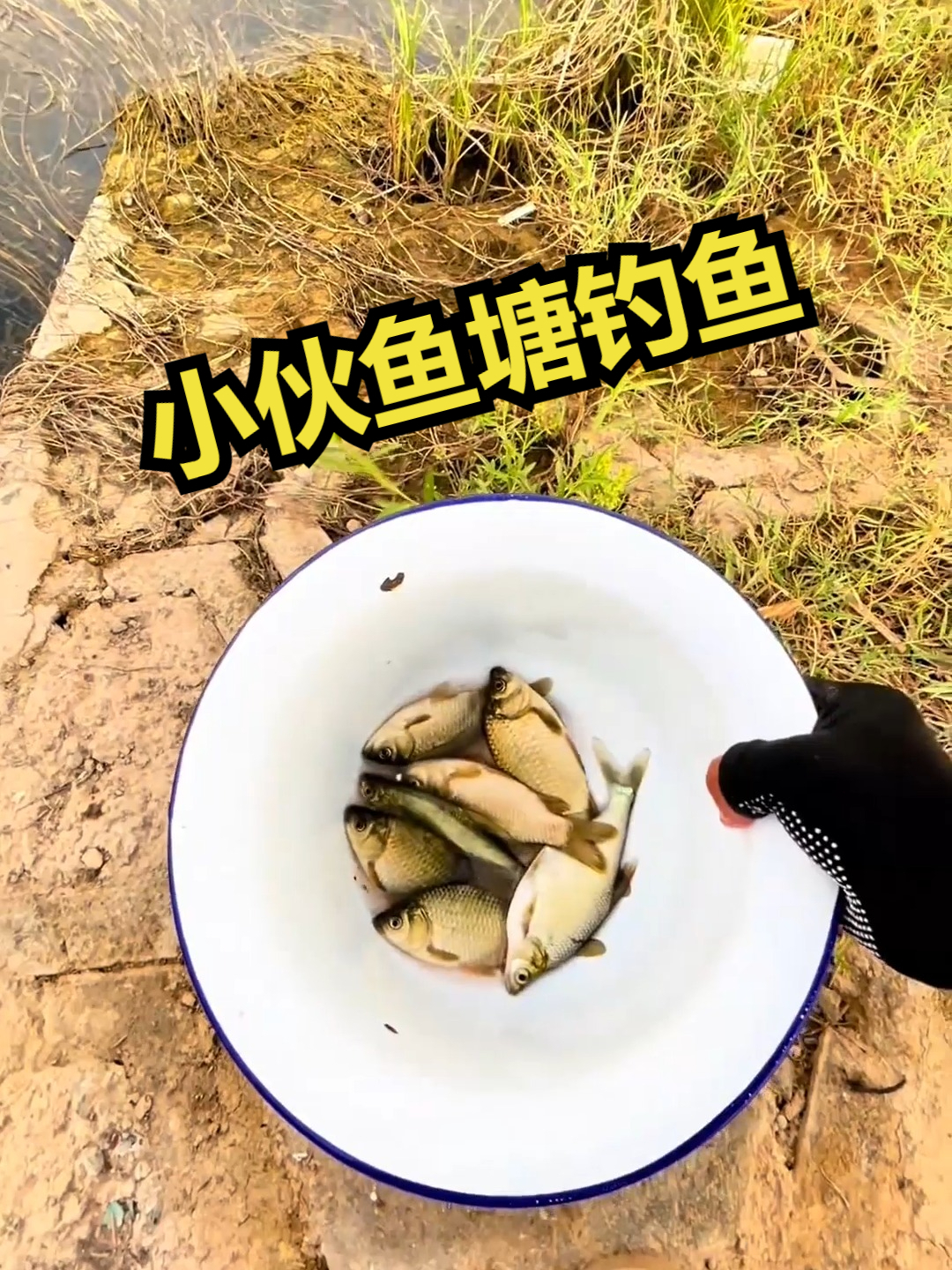 小伙鱼塘钓鱼!