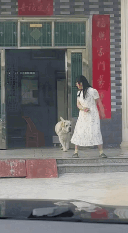 周五福利囧圖云飛系列 小姑娘不善言辭但懂得拳腳
