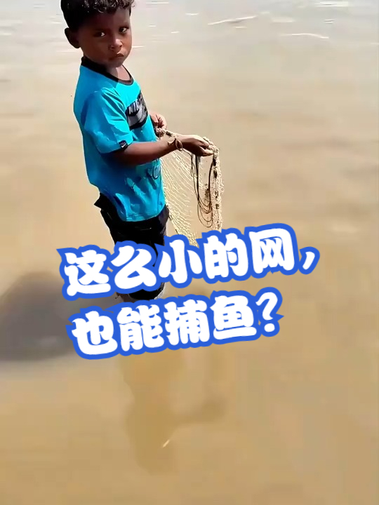 这么小的网,也能捕鱼?