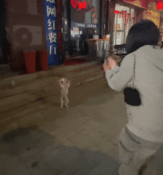 周五福利囧圖云飛系列 小姑娘不善言辭但懂得拳腳