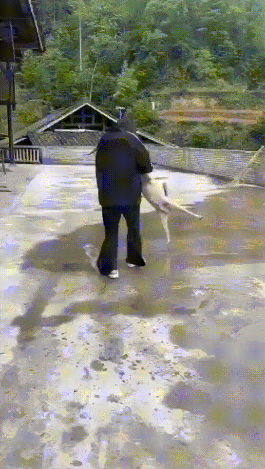 周五福利囧圖云飛系列 小姑娘不善言辭但懂得拳腳
