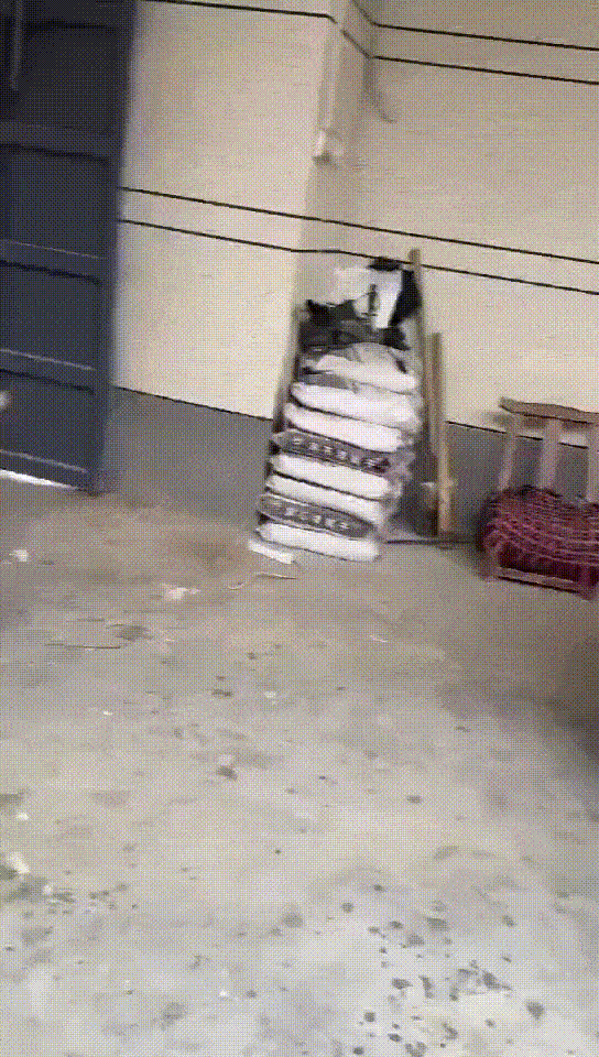 周五福利囧圖云飛系列 小姑娘不善言辭但懂得拳腳
