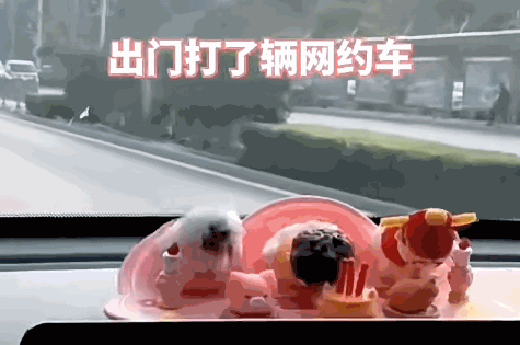 3DM輕松一刻第1484期 傳道授業(yè)解惑對知識如此渴望
