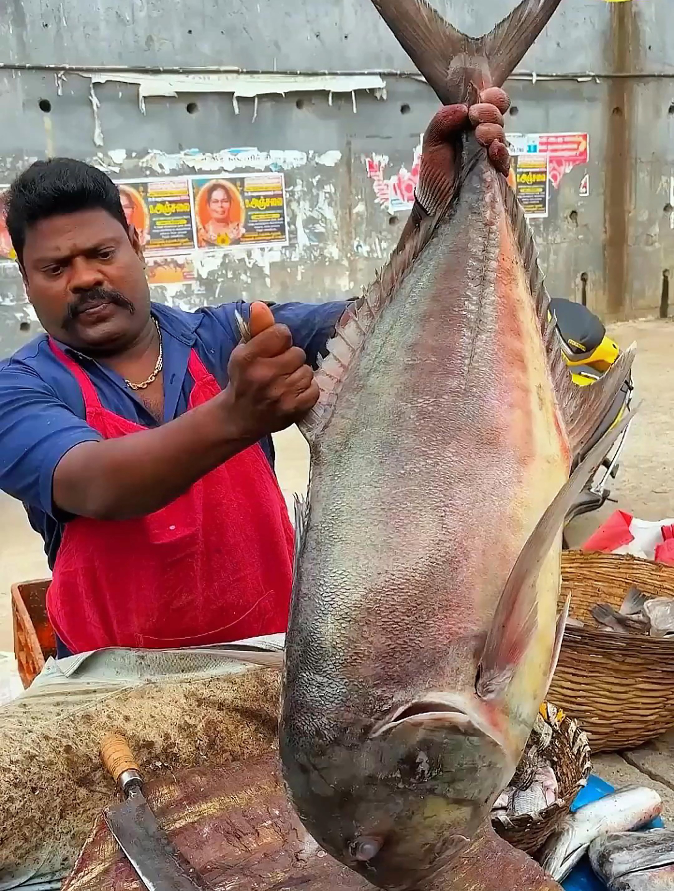 你知道这是什么鱼吗？看印度人都是如何杀鱼的，真是很不可思议啊