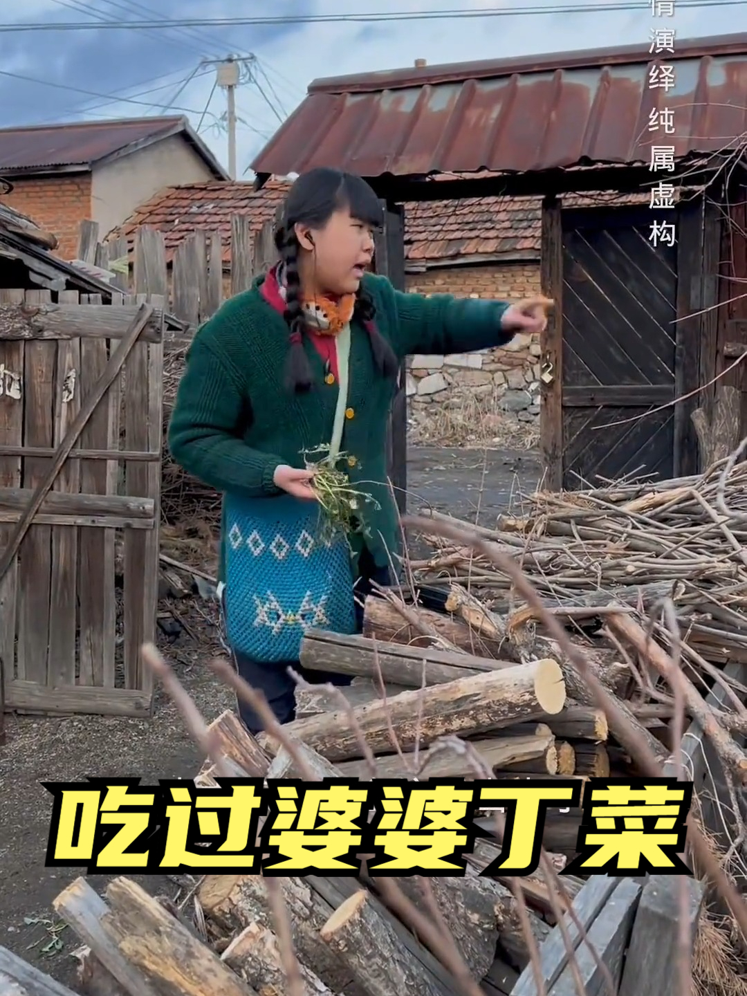 你吃过婆婆丁这种野菜嘛 包饺子可好吃了 