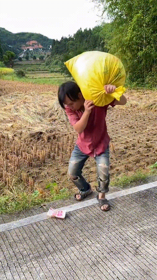 周五福利囧圖云飛系列 美女穿了泳裝為何還穿黑絲