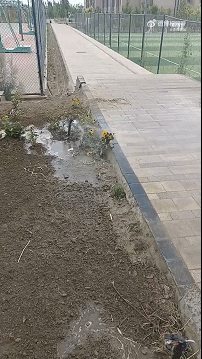 周五福利囧圖云飛系列 看到她微笑感覺空氣都變甜