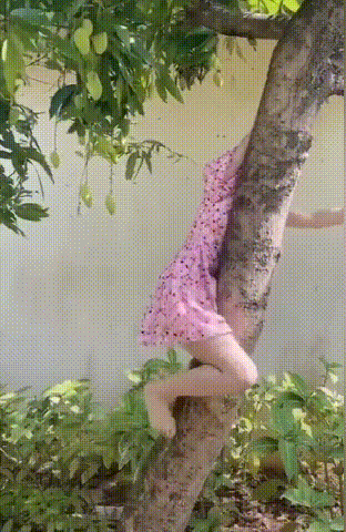 周一內(nèi)涵囧圖云飛系列 美女姿勢特別這節(jié)目效果不錯