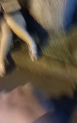 周五福利囧圖云飛系列 看到她微笑感覺空氣都變甜