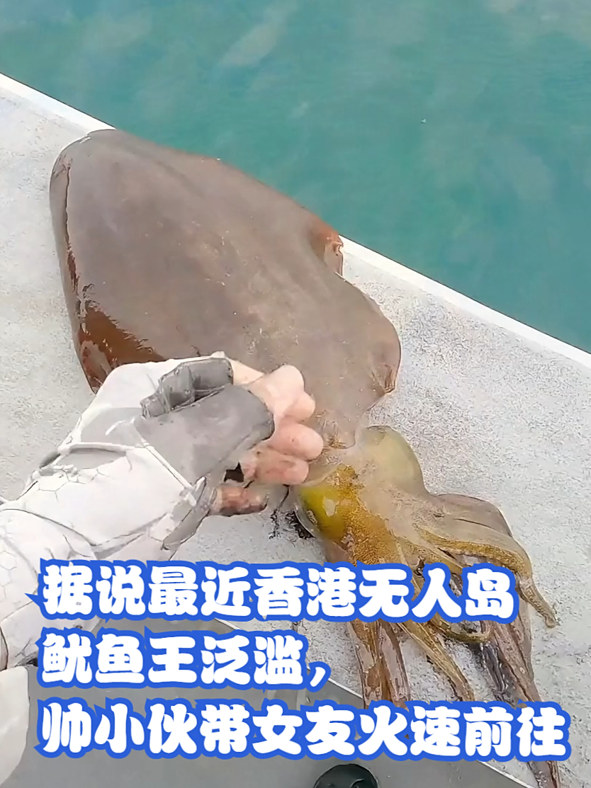 据说最近香港无人岛鱿鱼王泛滥，帅小伙带女友火速前往