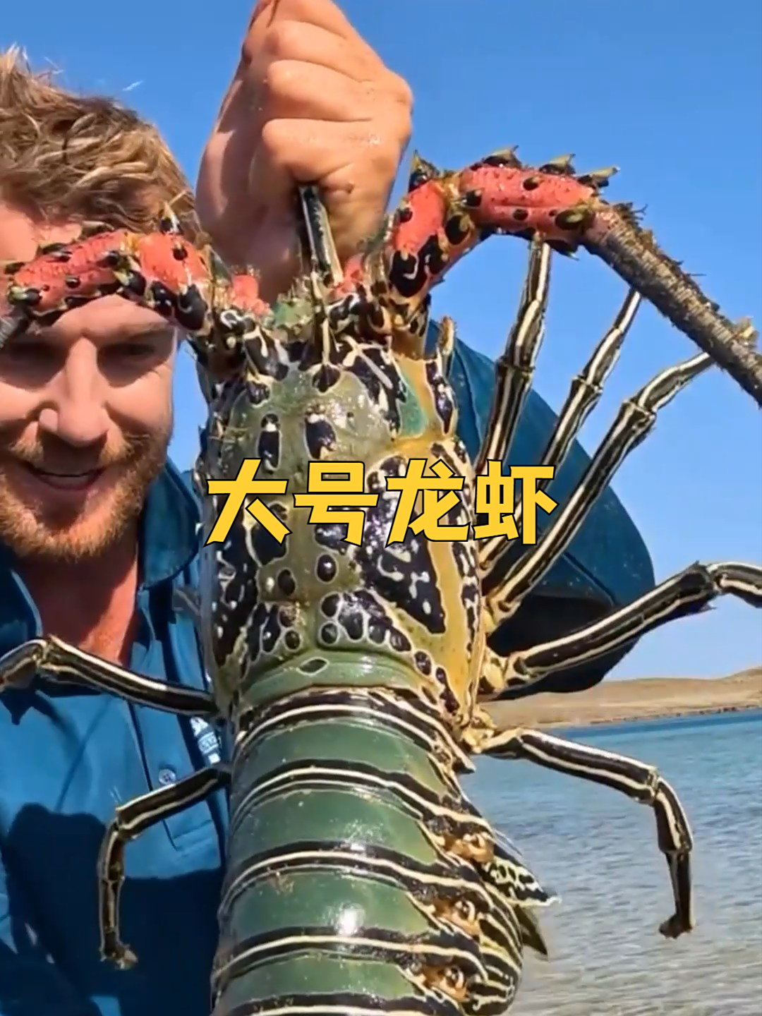 男人在海里找到一只龙虾,个头太大了