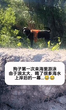 周一內涵囧圖云飛系列 美女姿勢特別這節(jié)目效果不錯