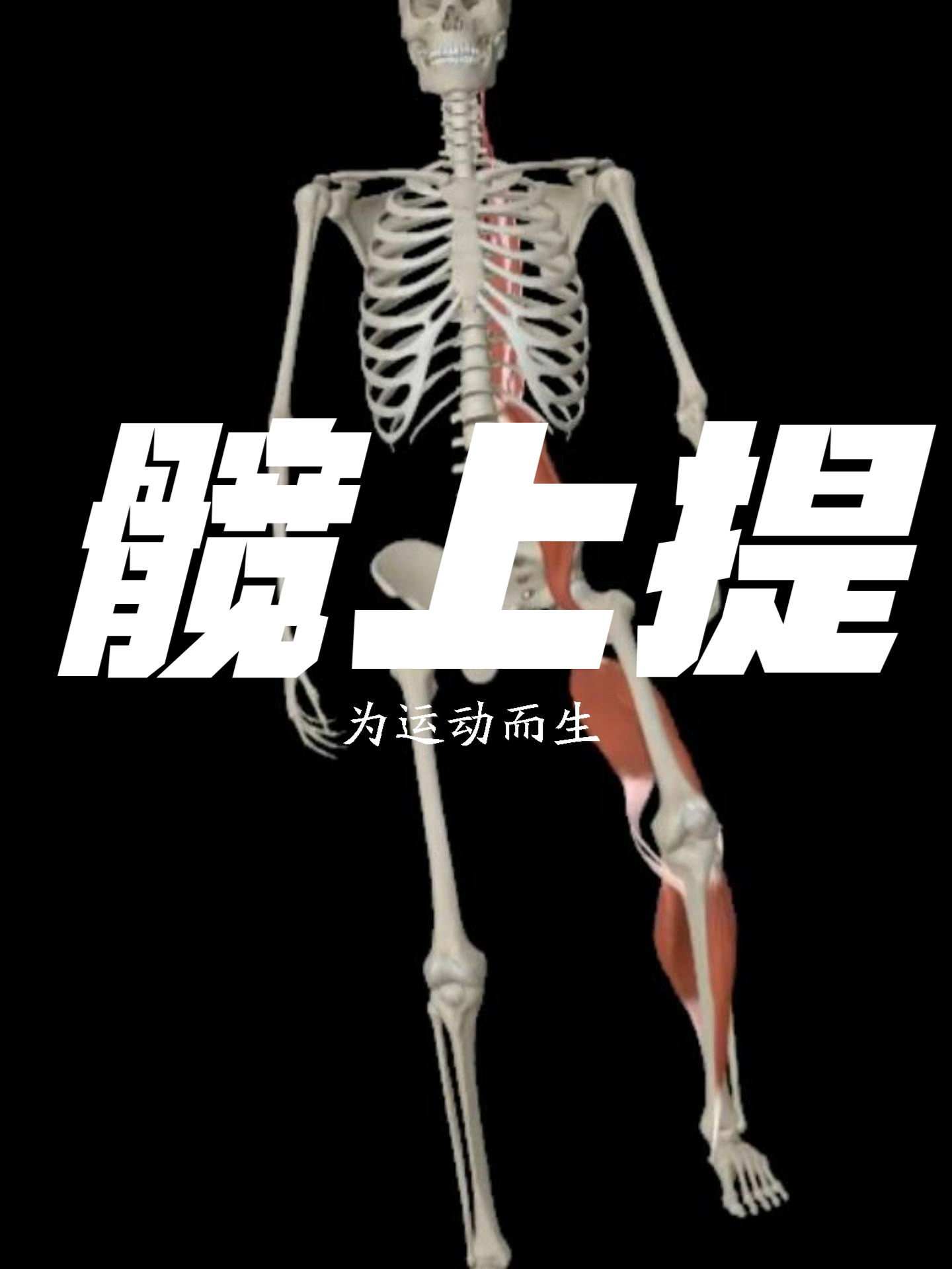 髋上提体态异常有多可怕?这些隐藏危害你绝对想不到!