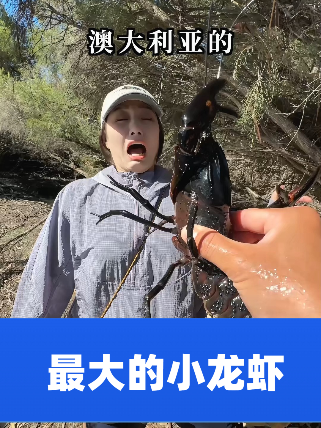 据说，这是世界上最大的小龙虾品种