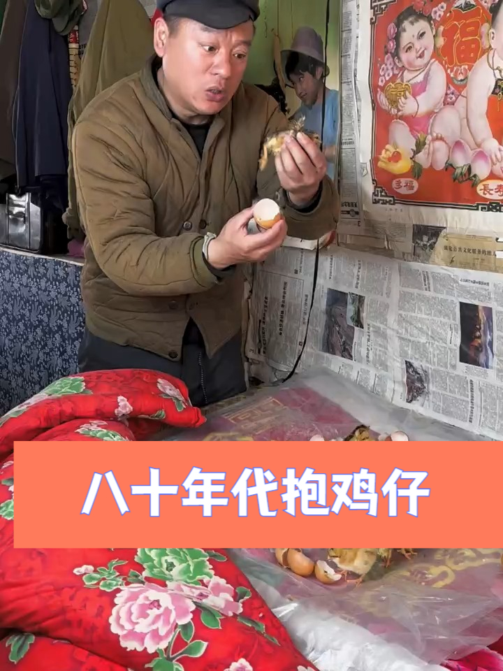 小鸡出壳了木匠的操作吓到秀英了