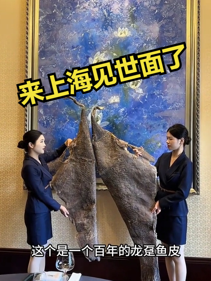 来上海见世面了！