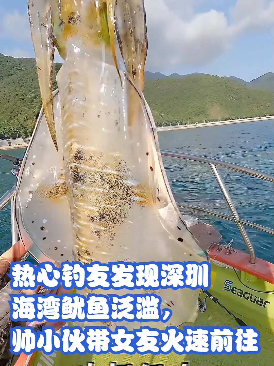 热心钓友发现深圳海湾鱿鱼泛滥，帅小伙带女友火速前往