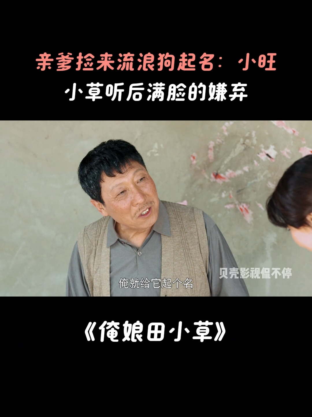 俺娘田小草:亲爹捡来流浪狗起名:小旺,小草听后满脸的嫌弃