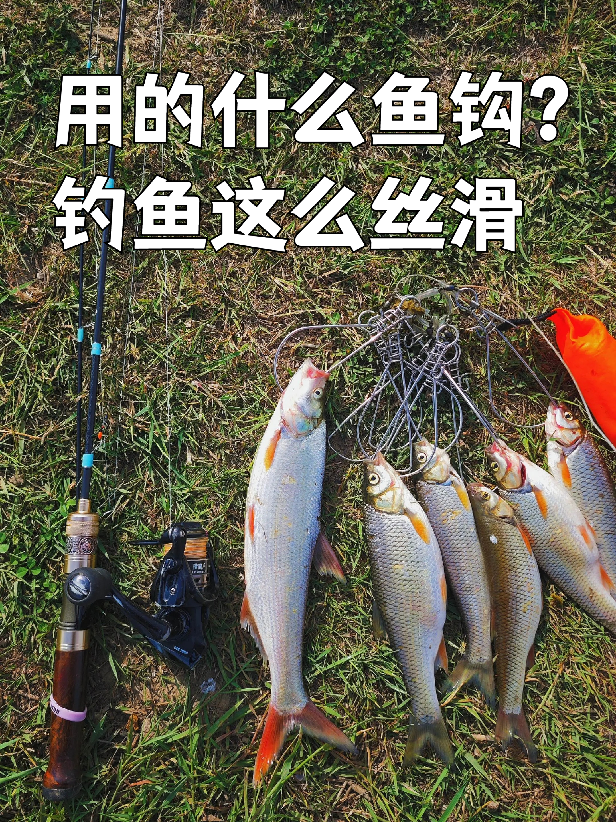 到底是什么鱼钩啊?钓起鱼来这么丝滑!