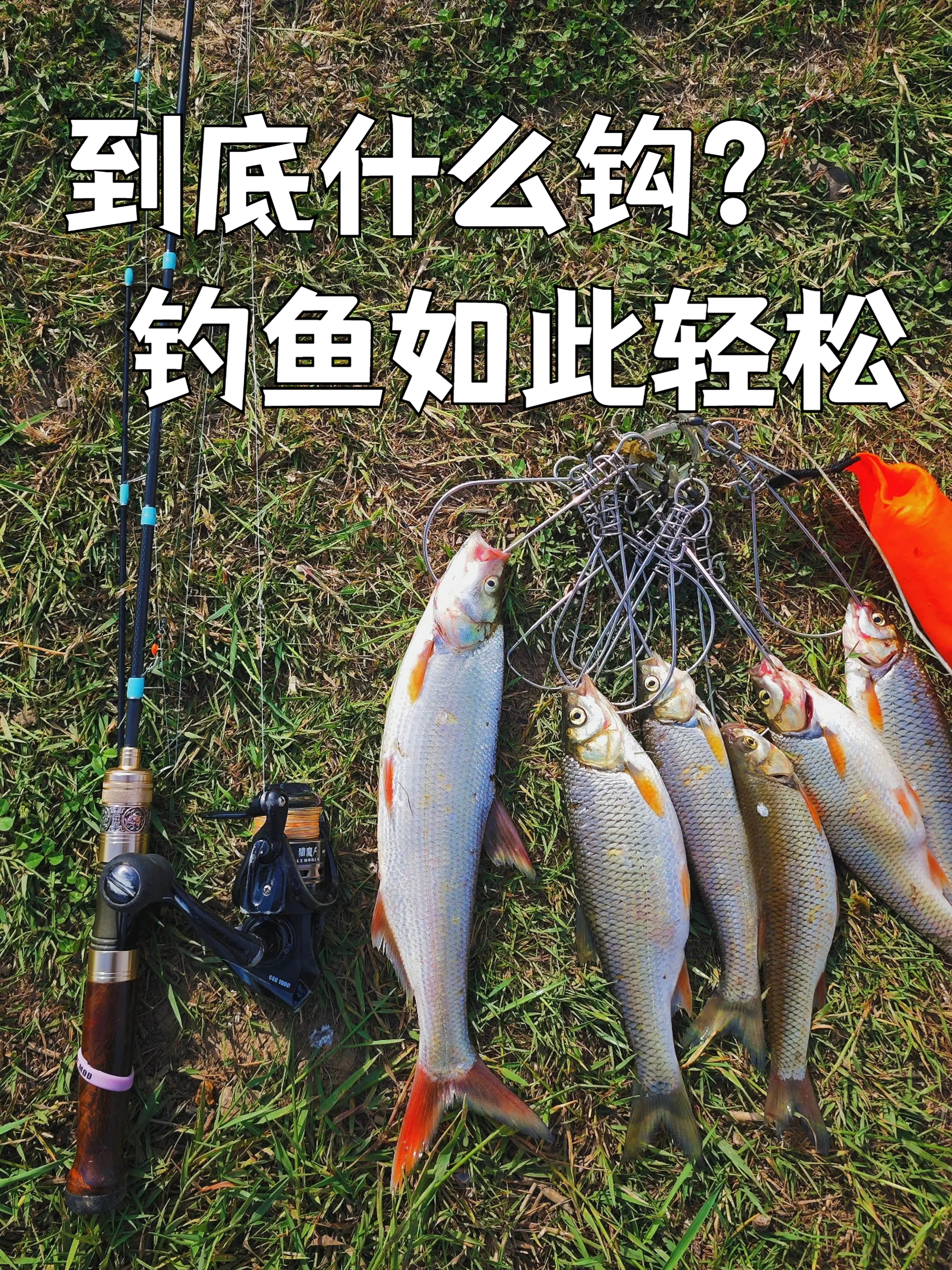 到底是什么鱼钩?钓鱼如此轻松不跑鱼?