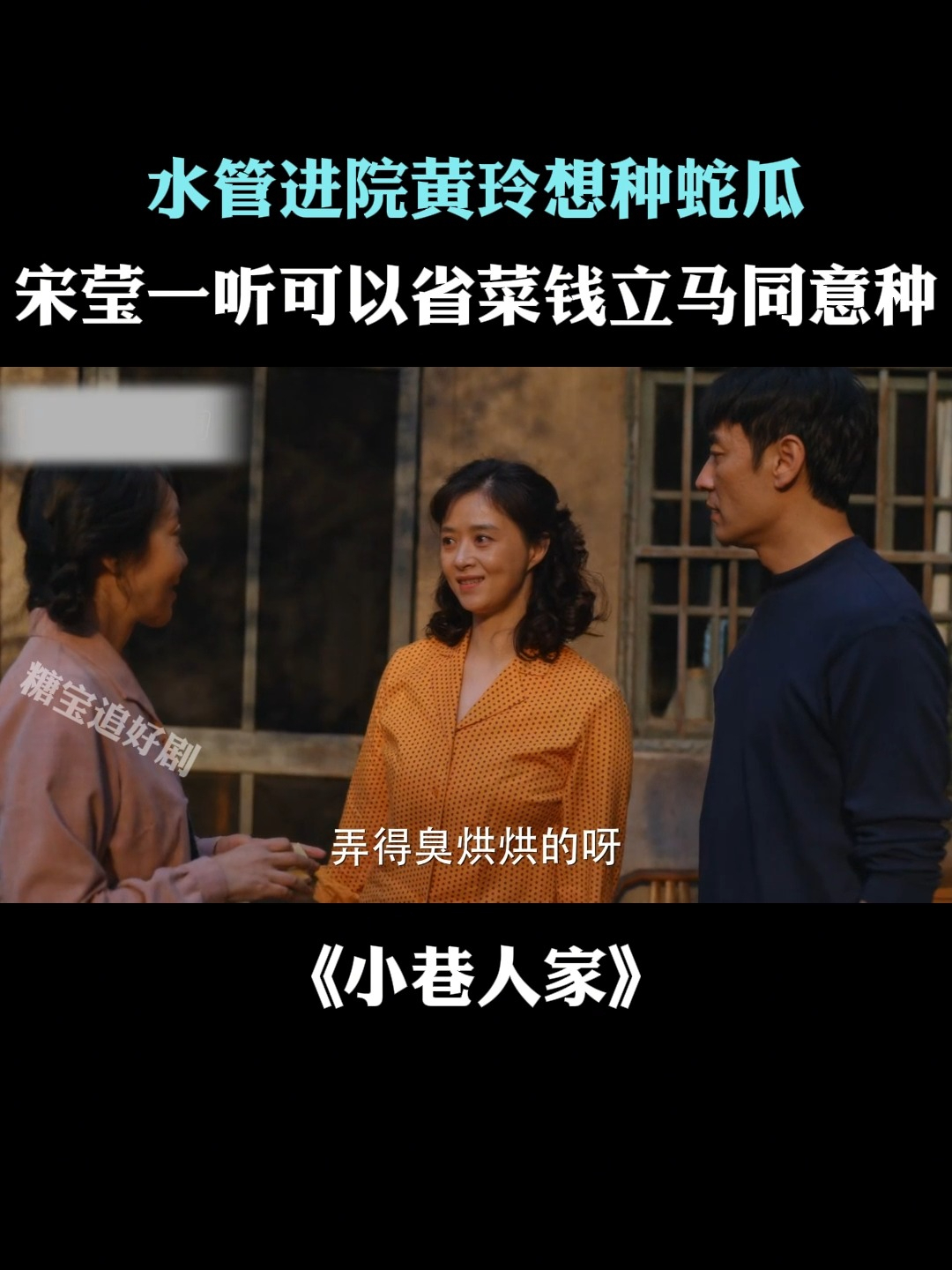 小巷人家:水管进院黄玲想种蛇瓜,宋莹一听可以省菜钱立马同意种