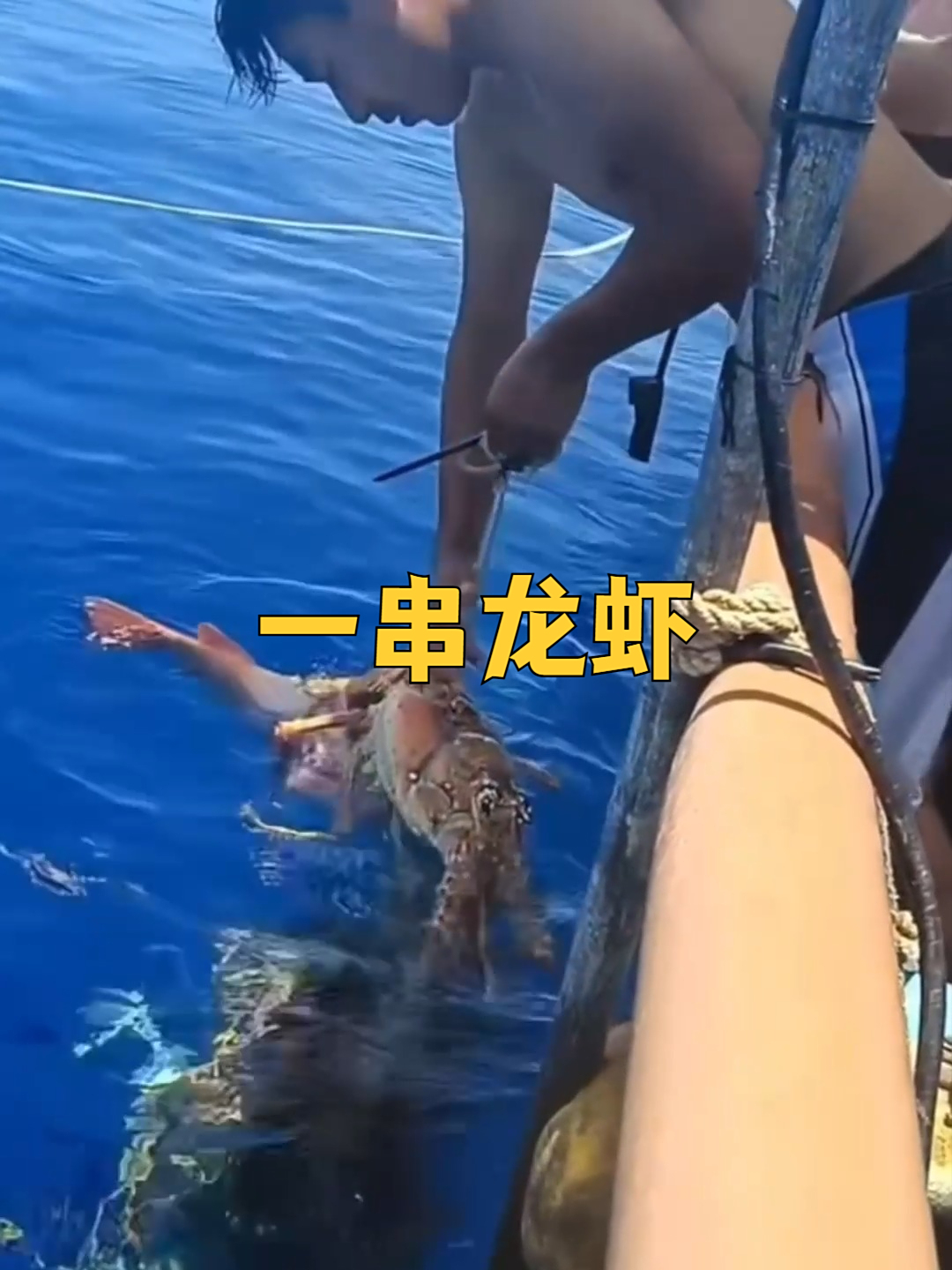 钓了一串大龙虾,羡慕了!