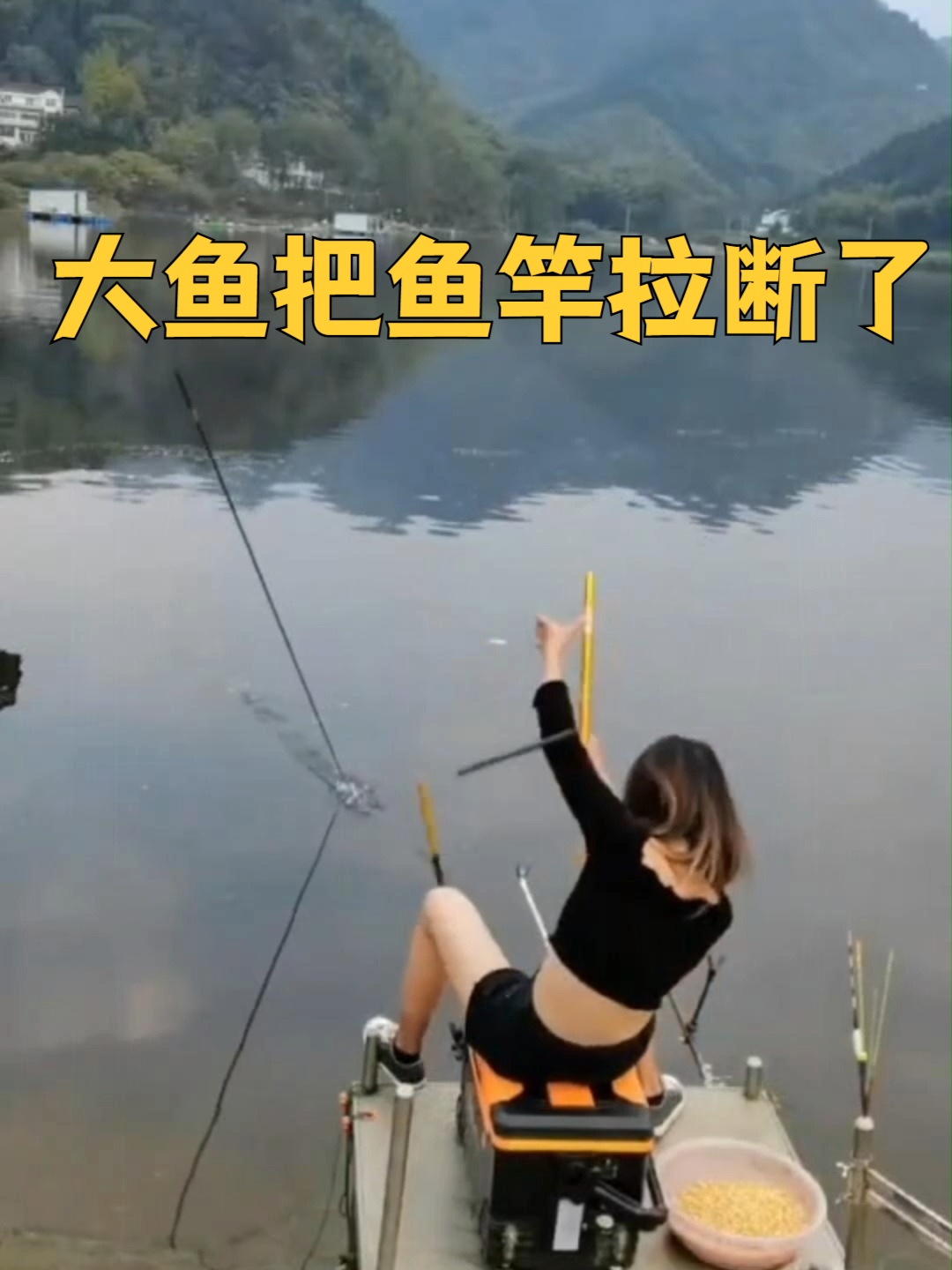 宁可竿子断,也不能让鱼线断了,钓友们大鱼拉上岸了吗?