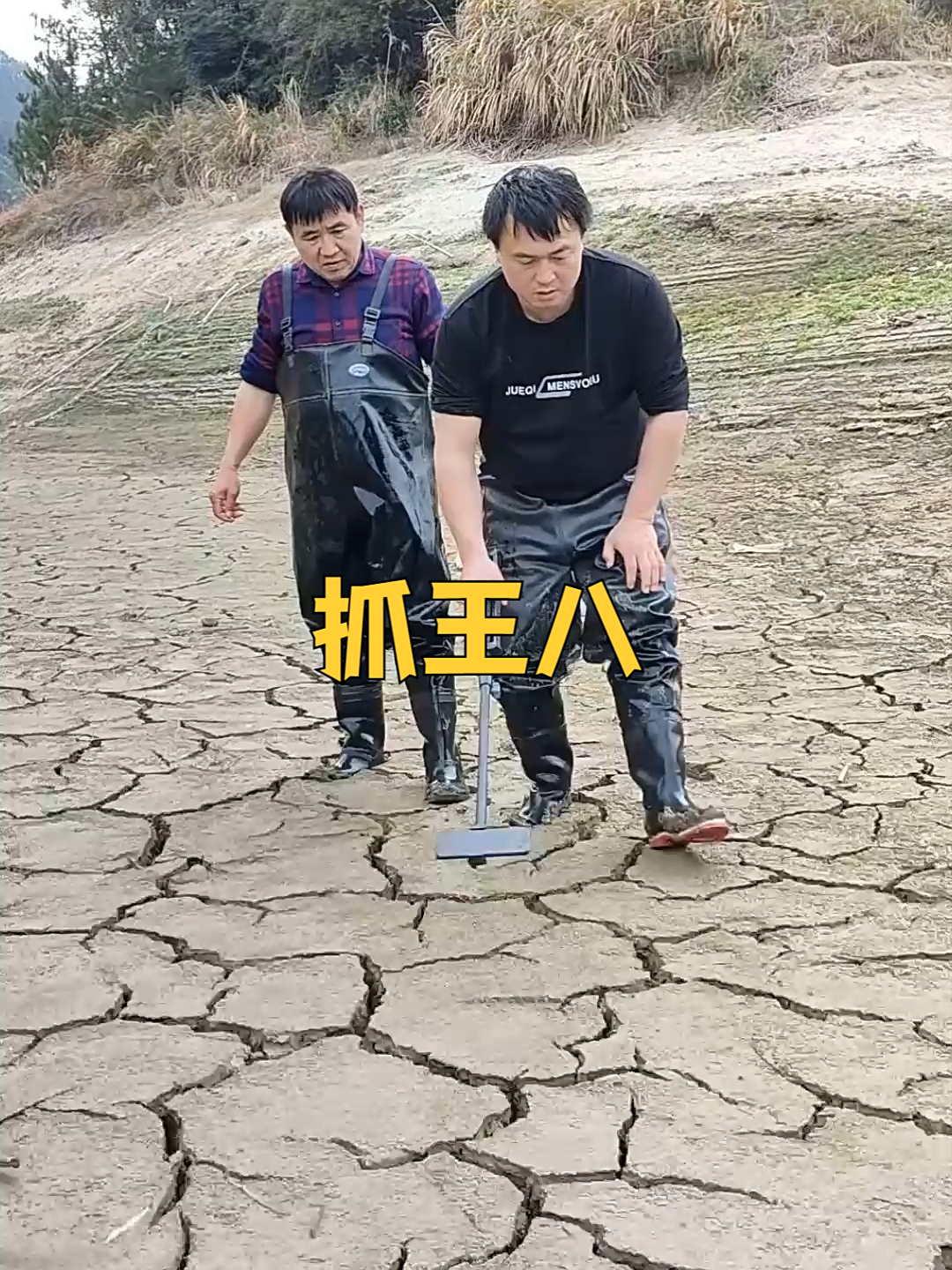 男子抓王八，技术真不错