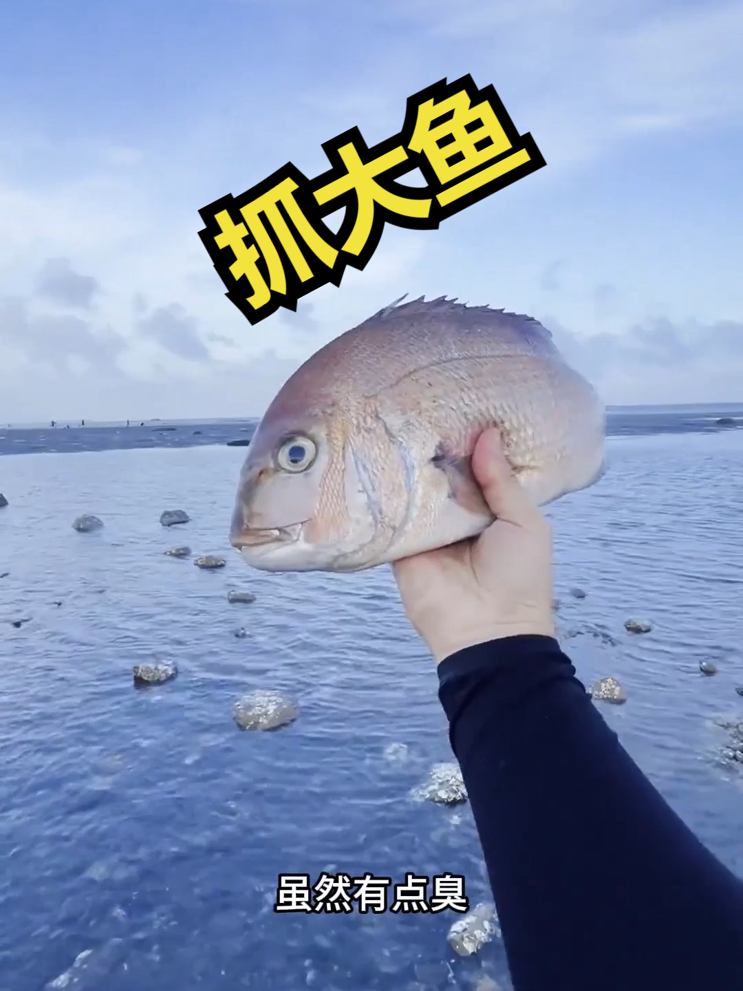 赶海觅食,抓大鱼