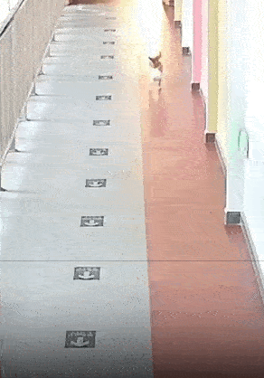 3DMһ̵1516 ɶô·Ҫ
