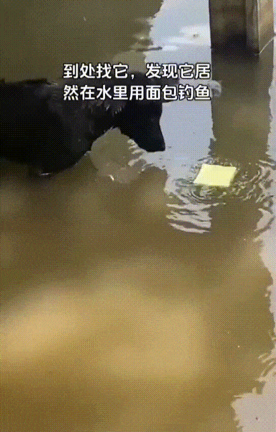 帣ͼƷϵ С¹