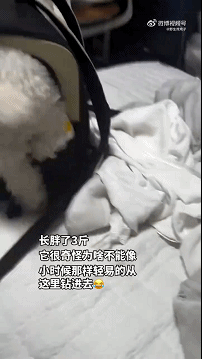 周一內(nèi)涵囧圖云飛系列 現(xiàn)在女裝的質(zhì)量真的不行！
