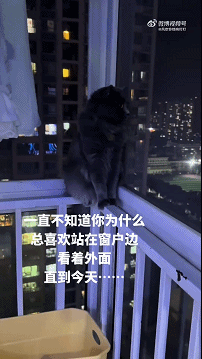 周一內(nèi)涵囧圖云飛系列 現(xiàn)在女裝的質(zhì)量真的不行！