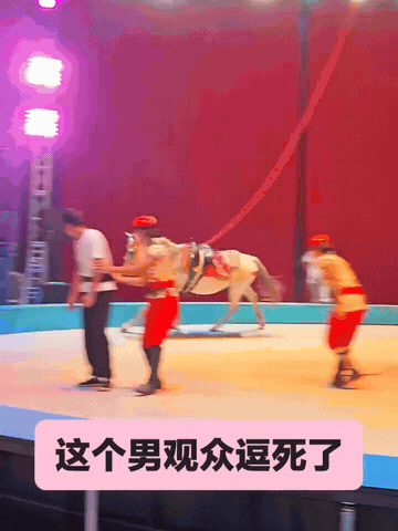 周一內涵囧圖云飛系列 現(xiàn)在女裝的質量真的不行！