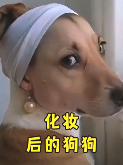 搞笑视频:端庄优雅,盘点15个化妆后的狗狗
