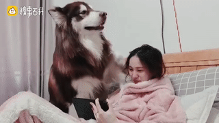 周一內(nèi)涵囧圖云飛系列 現(xiàn)在女裝的質(zhì)量真的不行！
