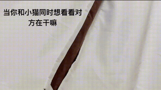 周一內(nèi)涵囧圖云飛系列 現(xiàn)在女裝的質(zhì)量真的不行！