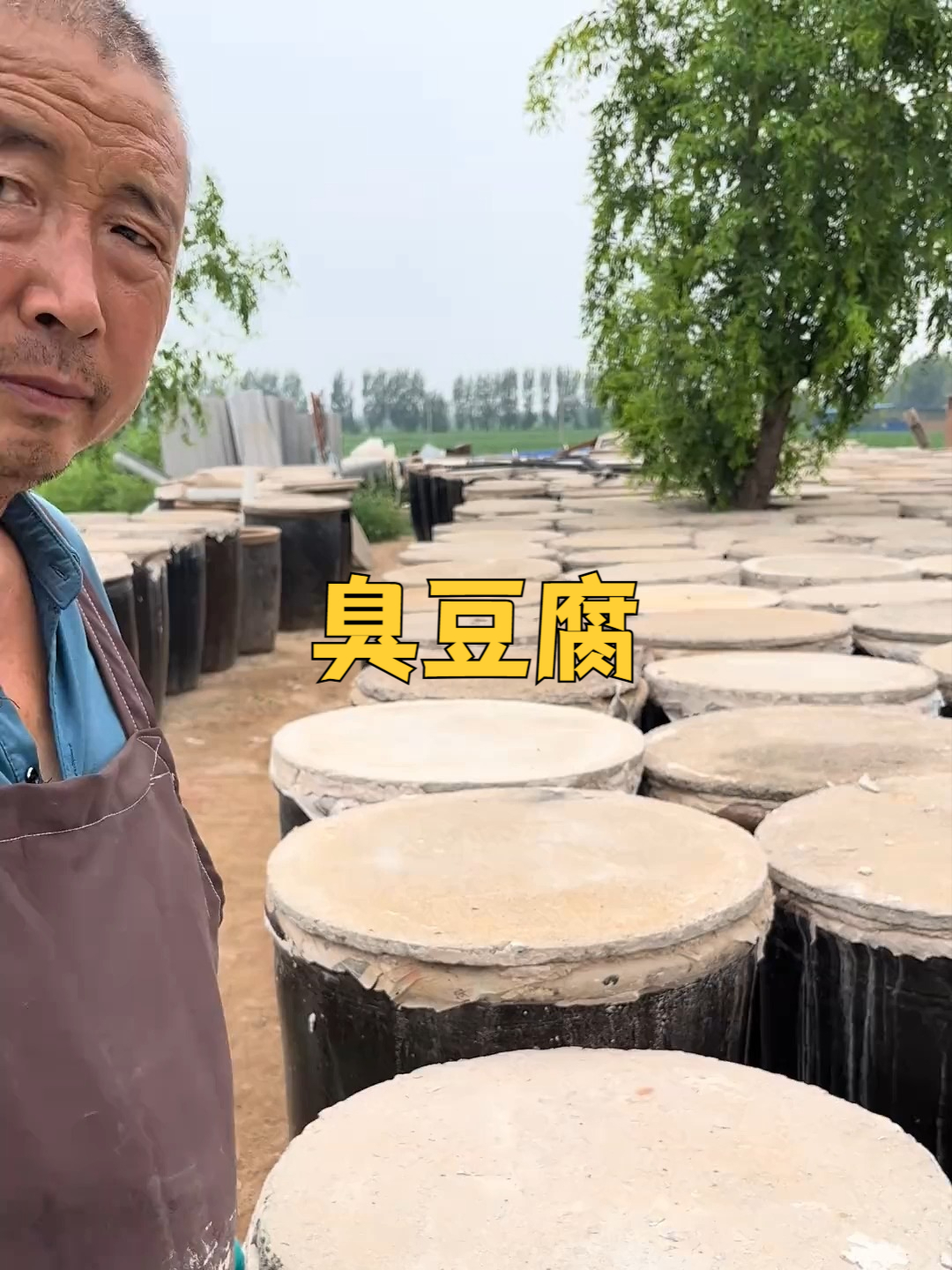 原来这才是真正的臭豆腐
