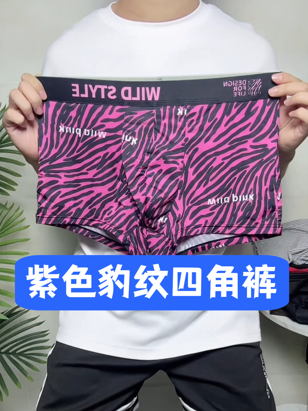 骚气十足的紫色豹纹男士四角裤!