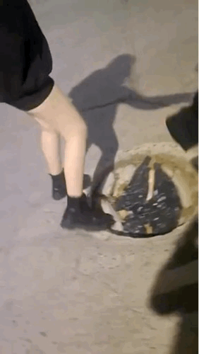 周一內(nèi)涵囧圖云飛系列 男人看美女是先天的反應(yīng)?