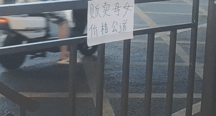 周一內(nèi)涵囧圖云飛系列 男人看美女是先天的反應(yīng)?