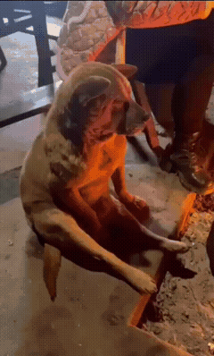 周一內(nèi)涵囧圖云飛系列 男人看美女是先天的反應(yīng)?
