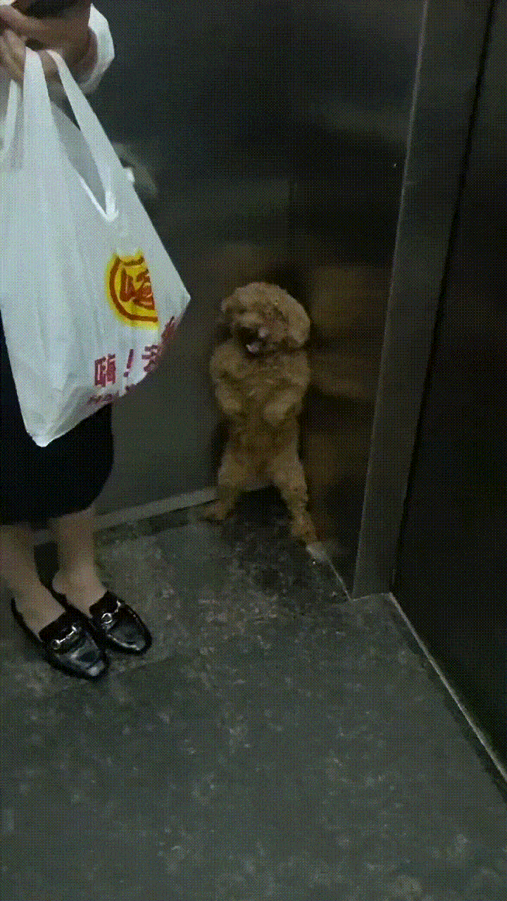 周一內(nèi)涵囧圖云飛系列 男人看美女是先天的反應(yīng)?