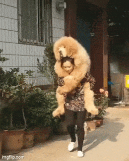 周一内涵囧图云飞系列 男人看美女是先天的反应?