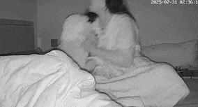周一內(nèi)涵囧圖云飛系列 男人看美女是先天的反應(yīng)?
