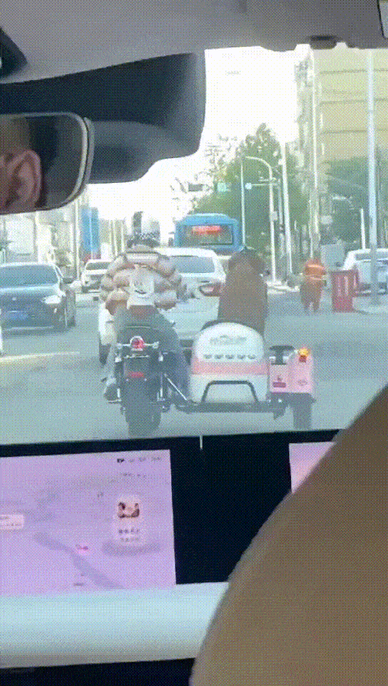 周一內(nèi)涵囧圖云飛系列 男人看美女是先天的反應(yīng)?