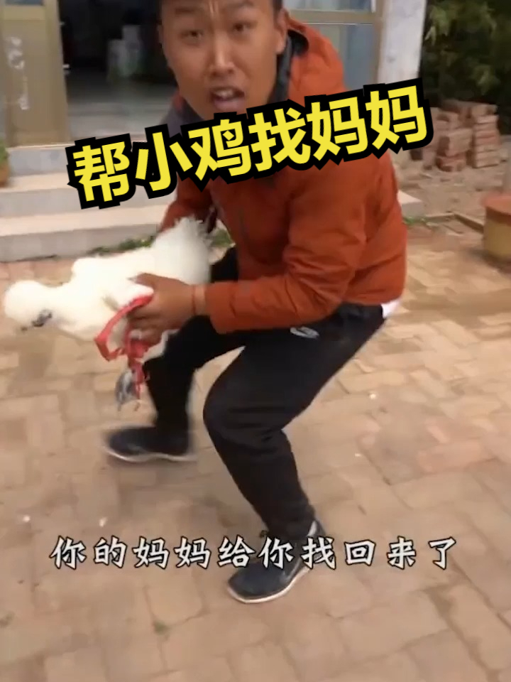 小伙帮小鸡找妈妈
