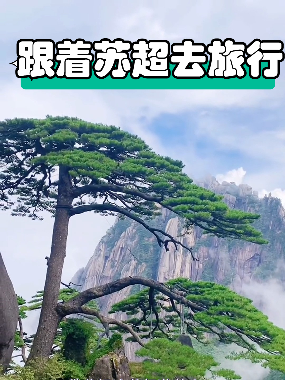苏超旅游|亲子黄山:萌宠记抱松鼠看迎客松,解锁自然课堂